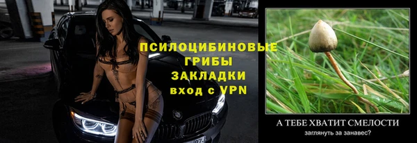 ПСИЛОЦИБИНОВЫЕ ГРИБЫ Бикин