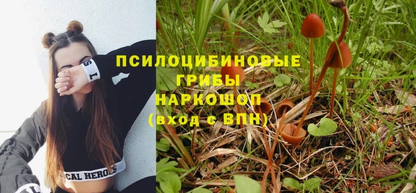 МДПВ Михайловск